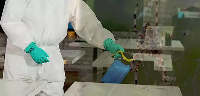 Why Buyers Still Want Homes With Pest Infestations in Indiana, IN?
