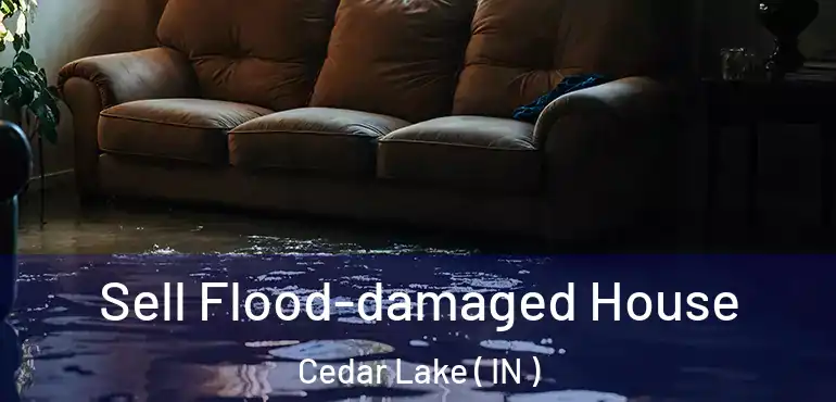  Sell Flood-damaged House Cedar Lake ( IN )