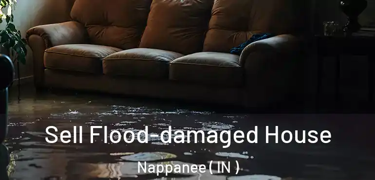  Sell Flood-damaged House Nappanee ( IN )