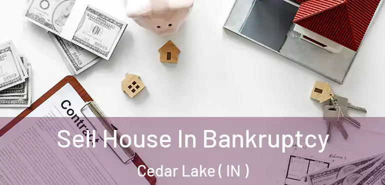  Sell House In Bankruptcy Cedar Lake ( IN )