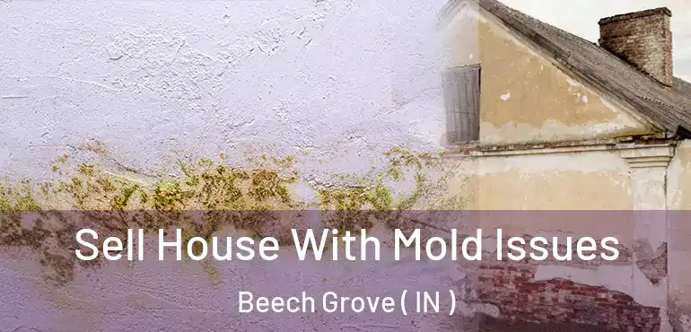  Sell House With Mold Issues Beech Grove ( IN )