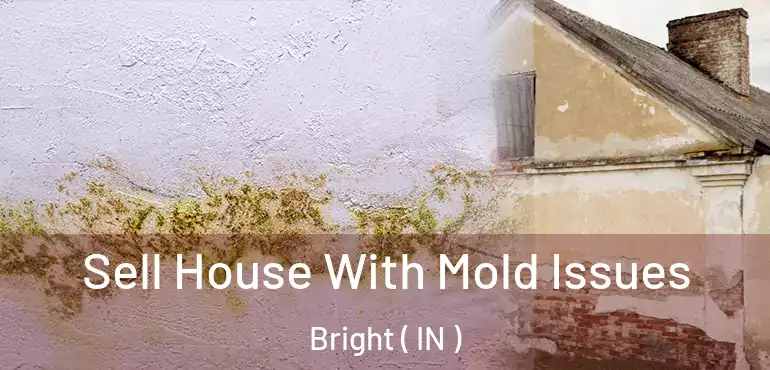  Sell House With Mold Issues Bright ( IN )