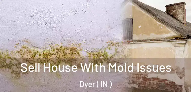  Sell House With Mold Issues Dyer ( IN )