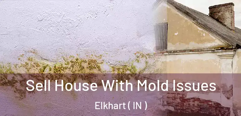  Sell House With Mold Issues Elkhart ( IN )