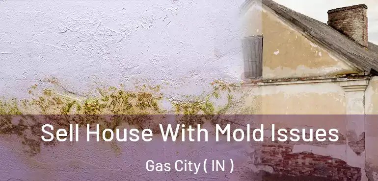  Sell House With Mold Issues Gas City ( IN )