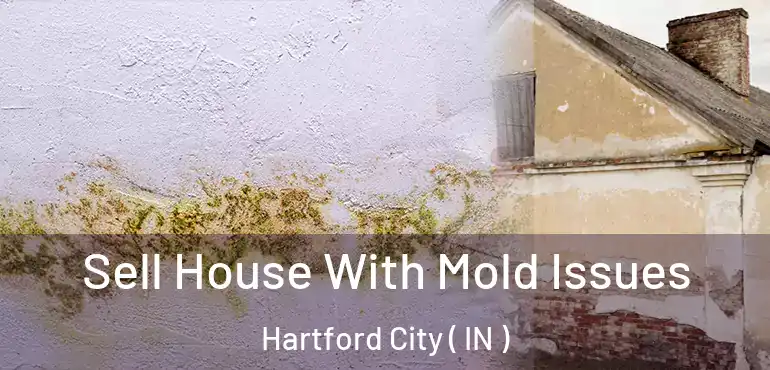  Sell House With Mold Issues Hartford City ( IN )