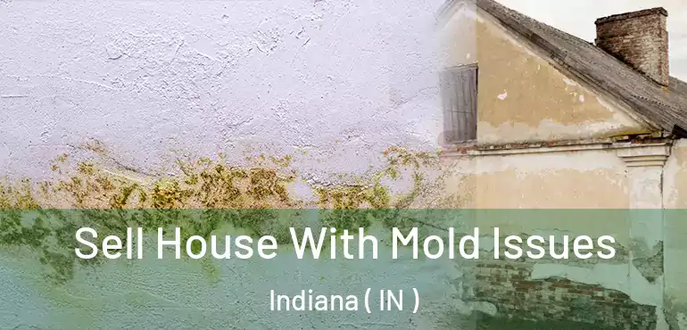  Sell House With Mold Issues Indiana ( IN )