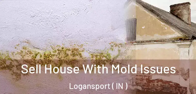  Sell House With Mold Issues Logansport ( IN )