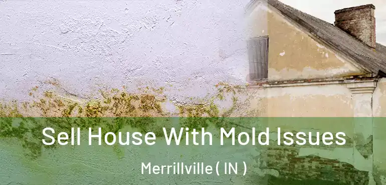  Sell House With Mold Issues Merrillville ( IN )