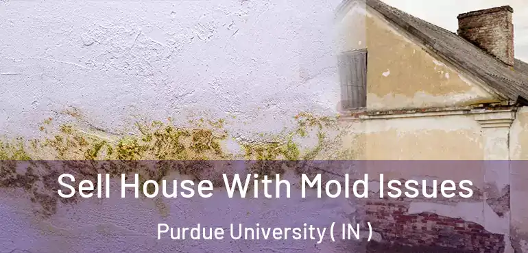  Sell House With Mold Issues Purdue University ( IN )