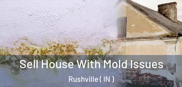  Sell House With Mold Issues Rushville ( IN )
