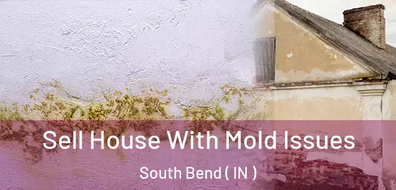  Sell House With Mold Issues South Bend ( IN )