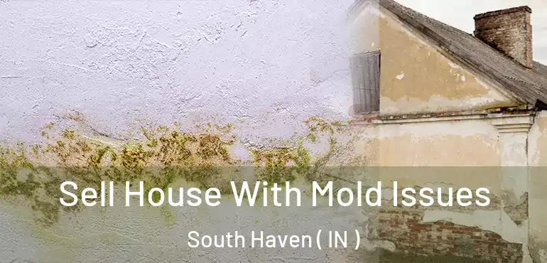  Sell House With Mold Issues South Haven ( IN )