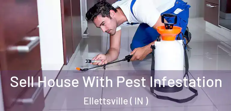  Sell House With Pest Infestation Ellettsville ( IN )
