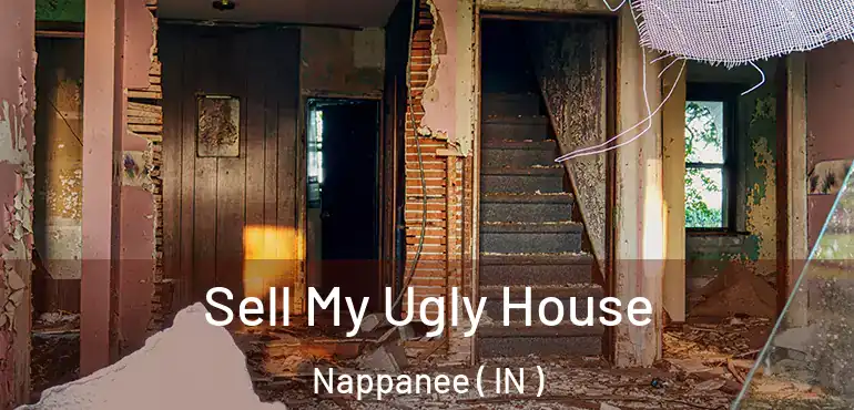  Sell My Ugly House Nappanee ( IN )